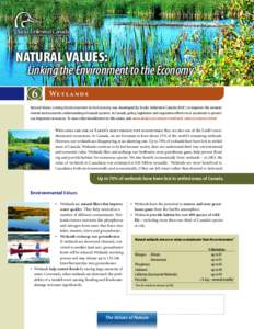NATURAL VALUES: Linking the Environment to the Economy 6 Wet l a n d s