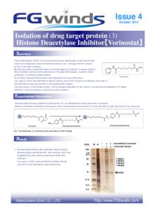 Issue 4 October, 2014 Isolation of drug target protein (3) Histone Deacetylase Inhibitor【Vorinostat】 Inhibitor