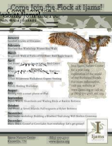 Come Join the Flock at Ijams!  January Sandhill Cranes at Hiwassee February Bluebird Box Workshop; Winter Bird Walk