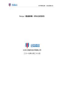 技术铸就品牌  Petya（勒索病毒）样本分析报告 北京江民新科技术有限公司 二〇一七年六月二十八日