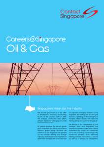 Careers@S ngapore  Oil & Gas Singapore’s vision for this industry The oil and gas industry is a key pillar