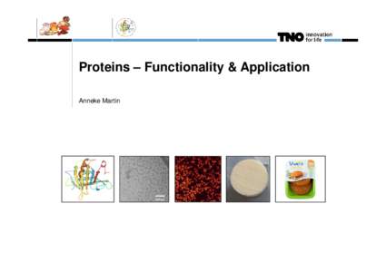 Proteins – Functionality & Application