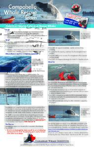 Campobello Whale Rescue Team Fishermen Helping Fishermen Rescue Whales Goals • S