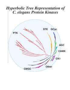 Hyperbolic Tree Representation of C. elegans Protein Kinases STE  GCyc