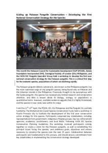 Scaling up Palawan Pangolin Conservation – Developing the First National Conservation Strategy for the Species This month the Palawan Council for Sustainable Development Staff (PCSDS), Katala Foundation Incorporated (K