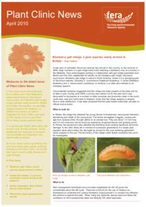 Plant Clinic News April 2010 Blueberry gall midge, a pest species newly arrived in Britain - Dom Collins