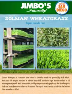 Solman wheatgrass Organic Leucadia Farm Solman Wheatgrass is a one acre farm located in Leucadia owned and operated by Mark Bakula. Mark uses rich compost nourished in redwood bins which provide the right moisture and ai