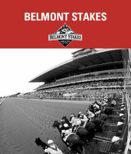 BELMONT STAKES  TABLE OF