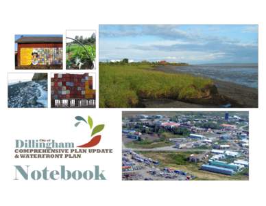 Dillingham_Plan_Notebook.pdf