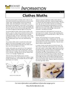 INFORMATION No. 021 Clothes Moths There are several species of clothes moth in the U.S. The two mostly commonly encountered ones are the common