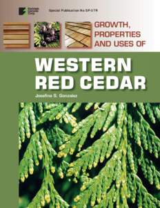 Medicinal plants / Wood / Cedar wood / Trees / Thuja plicata / Thuja occidentalis / Callitropsis nootkatensis / Thuja / Deck / Flora of the United States / Flora / Building materials