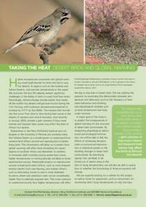 warwick tarboton  Northern Guardian Newspaper Taking the heat desert birds and global warming