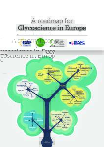 A roadmap for Glycoscience in Europe What is glycoscience? Glycoscience is the science and technology of carbohydrates,