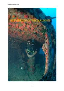 WWW.DEEPLENS.COM  SHIPWRECKS OF THE MALDIVES 1