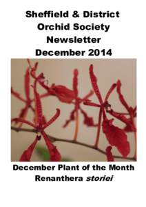 Sheffield & District Orchid Society Newsletter DecemberDecember Plant of the Month