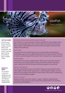 Lionfish Pterois volitans DID YOU KNOW? Lionfish suck! To eat, lionfish