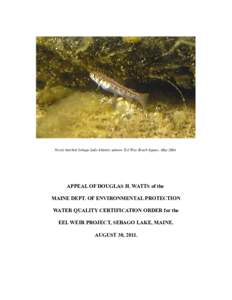 Newly hatched Sebago Lake Atlantic salmon. Eel Weir Reach bypass. MayAPPEAL OF DOUGLAS H. WATTS of the MAINE DEPT. OF ENVIRONMENTAL PROTECTION WATER QUALITY CERTIFICATION ORDER for the EEL WEIR PROJECT, SEBAGO LA