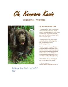 Ch. Kenmare Kevin – THE BEST PLACE TO BURY A DOG 