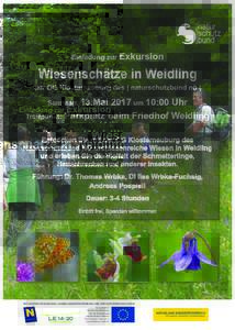 Einladung zur Exkursion  Wiesenschätze in Weidling der OG Klosterneuburg des | naturschutzbund nö | Samstag, 13.Mai