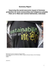 Summary Report Improving the social-economic impact of biomass production for local communities and indigenous peoples Palm oil in West and Central Kalimantan, Indonesia  (“sustainability… not  for  an  image”)