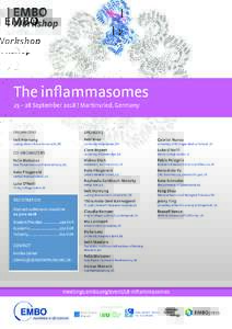 The inflammasomes  25 – 28 September 2018 | Martinsried, Germany ORGANIZERS
