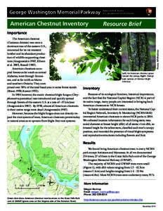 George Washington Memorial Parkway  American Chestnut Inventory National Park Service U.S. Department of the Interior
