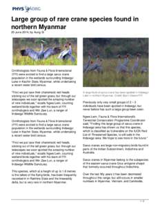 Large group of rare crane species found in northern Myanmar