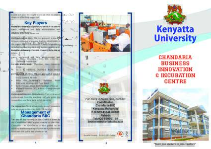 Grants will also be sought to ensure that incubated ideas are effectively supported. Key Players  Kenyatta