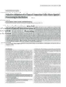 The Journal of Neuroscience, February 11, 2004 • 24(6):1459 –1467 • 1459  Behavioral/Systems/Cognitive Selective Ablation of a Class of Amacrine Cells Alters Spatial Processing in the Retina