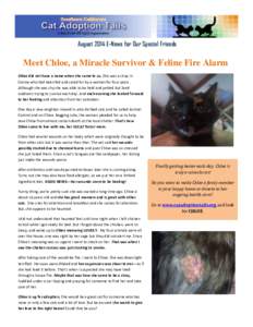 August 2014 E-News for Our Special Friends  Meet Chloe, a Miracle Survivor & Feline Fire Alarm Chloe did not have a name when she came to us. She was a stray in Covina who had been fed and cared for by a woman for four y