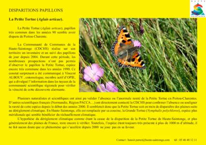 Disparitions Papillons La Petite Tortue (Aglais urticae). La Petite Tortue (Aglais urticae), papillon très commun dans les années 90 semble avoir disparu de Poitou-Charente.