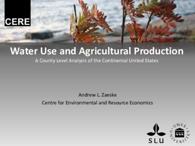 Water Use and Agricultural Production: A County Level Analysis of the Continental United States