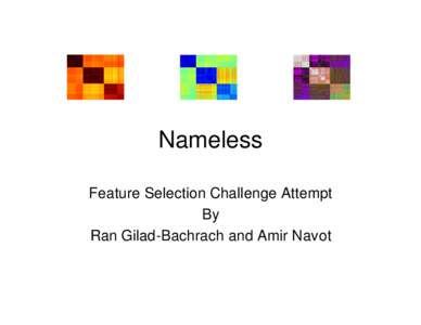 Nameless Feature Selection Challenge Attempt By Ran Gilad-Bachrach and Amir Navot  Overview
