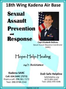 18th Wing Kadena Air Base  Sexual Assault Prevention and