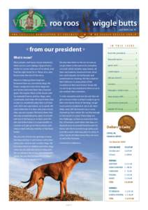 Anthrozoology / Veterinary medicine / Biota / Dog breeds / Vizsla / Rabies / Bo / Puppy mill / Dog / Pet adoption