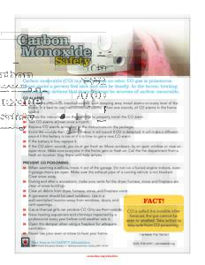 Carbon Monoxide Safety Carbon monoxide (CO) is a gas. It has no odor. CO gas is poisonous. It can make a person feel sick and can be deadly. In the home, heating