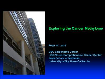 Exploring the Cancer Methylome  Peter W. Laird USC Epigenome Center USC/Norris Comprehensive Cancer Center Keck School of Medicine