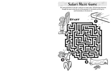 Safari Maze Game The young adventurer to the left is ready for an insect safari. Guide the bug discoverer through the maze to find the ant on the pavement (1), the beetle by the log (2), and the butterfly on the flower (
