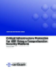 CERTICOM WHITEPAPER SERIES  Critical Infrastructure Protection for AMI Using a Comprehensive Security Platform February 2009