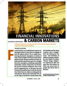 ©MERNYÓ FERENC/BUDAPEST, HUNGARY  Financial Innovations & Carbon Markets  By Graciela Chichilnisky