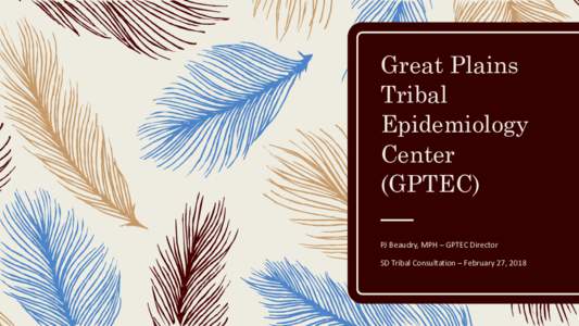 Great Plains Tribal Epidemiology Center (GPTEC) PJ Beaudry, MPH – GPTEC Director