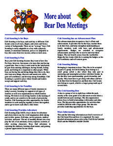 Microsoft Word - More About Den Meetings full color.doc