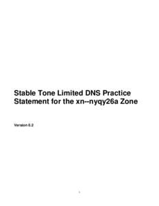 Stable Tone Limited DNS Practice Statement for the xn--nyqy26a Zone Version