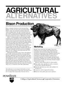 AGRICULTURAL ALTERNATIVES Bison Production Bison, commonly referred to as the American Plains Buffalo, are native not only to the Great Plains and the Midwest. They once roamed the mountain slopes and