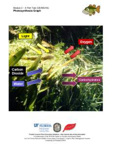 Module 2 ~ A Fish Tale (UE/MS/HS)  Photosynthesis Graph University of Florida © 2012