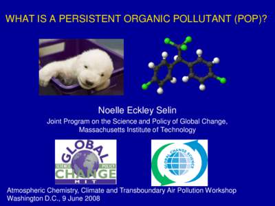 WHAT IS A PERSISTENT ORGANIC POLLUTANT (POP)?  Noelle Eckley Selin Joint Program on the Science and Policy of Global Change, Massachusetts Institute of Technology