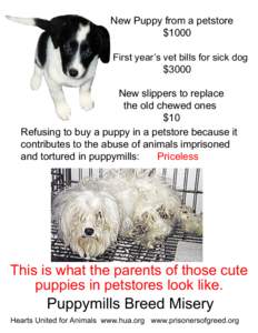 New Puppy from a petstore $1000 First year’s vet bills for sick dog $3000  New slippers to replace