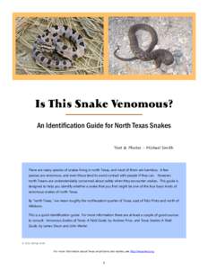 Is This Snake Venomous? An Identification Guide for North Texas Snakes Text & Photos - Michael Smith There are many species of snakes living in north Texas, and most of them are harmless. A few species are venomous, and 