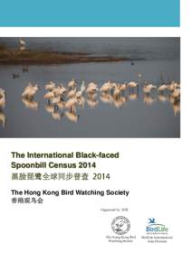 The International Black-faced Spoonbill Census 2014 黑脸琵鹭全球同步普查 The Hong Kong Bird Watching Society 香港观鸟会 Organized by 统筹