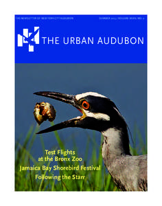 The newsletter of New York City Audubon  SUMMERVolume XXXIV, No. 2 THE URBAN AUDUBON